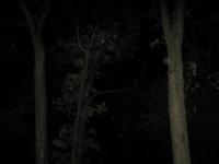 Chicago Ghost Hunters Group investigates Robinson Woods (92).JPG